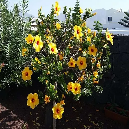 Playa Blanca Sleeps 6 Pool Wifi